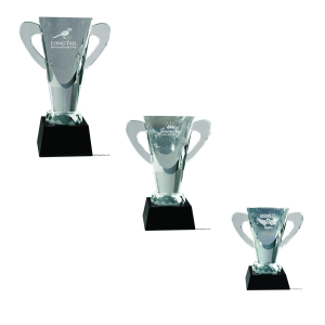 Crystal Cup with Crystal Handles