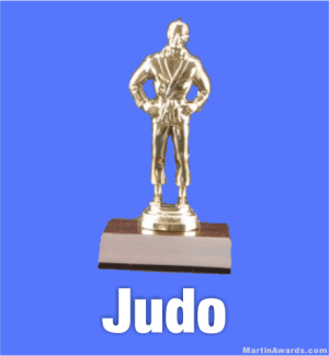 Judo Trophies