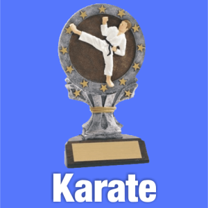 Karate Trophies