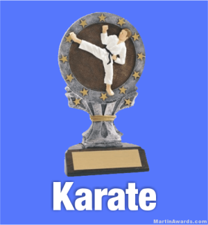 Karate Trophies