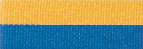 7/8" Blue/Gold Neck Ribbon with Snap Clip