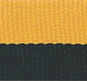 7/8" Black/Gold Neck Ribbon with Snap Clip