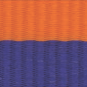 7/8" Blue/Orange Neck Ribbon with Snap Clip