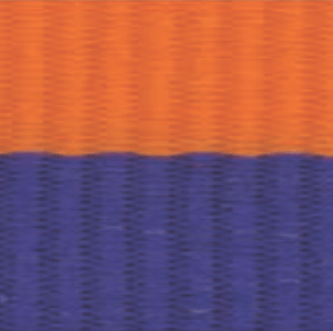 1 1/2" Blue/Orange Neck Ribbon with Snap Clip