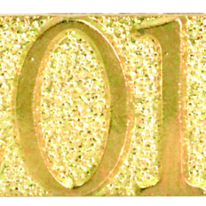 Gold 2019 Metal Chenille Letter Insignia
