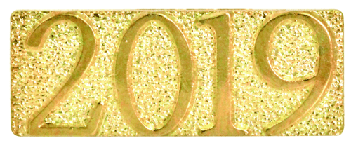 Gold 2019 Metal Chenille Letter Insignia