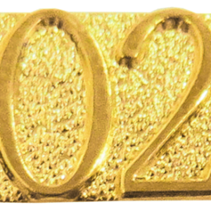 Gold 2020 Metal Chenille Letter Insignia