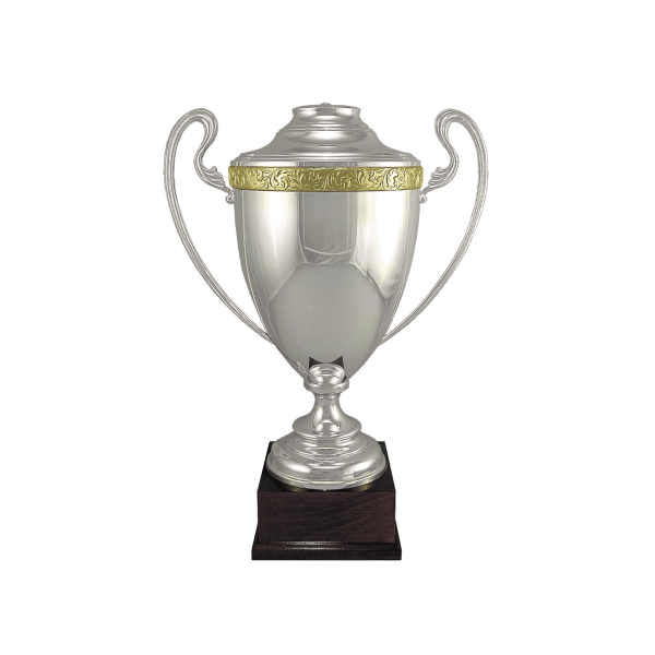 21 1/2" Silver with Gold Accent Trophy Cup