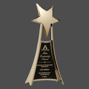 4 3/4" x 10 3/4" Metal Star Trophy in Gold Finish