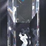 Genuine Crystal Octagon Prism Award