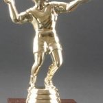 Male Volleyball Trophy 1