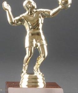 Male Volleyball Trophy