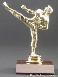 Female Karate Trophy