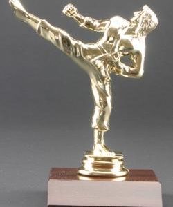 Female Karate Trophy