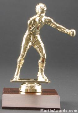 Male Boxer Trophy