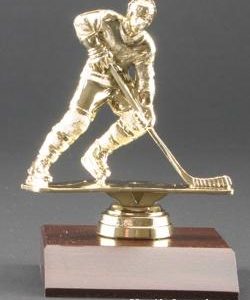 Male Action Hockey Trophy
