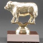 Beef Cow Trophy 1