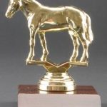 Quarter Horse Trophy 1