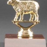 Sheep Trophy 1