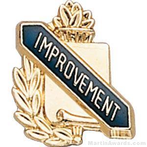 3/8" Improvement School Award Pins