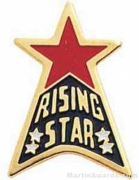 15/16" Etched Soft Enamel Rising Star Chenille Letter Pin