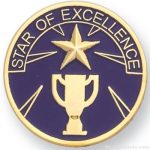 Star Of Excellence Lapel Pin