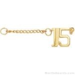 3/8″ Number 15 Year Guard with Chain 1