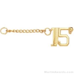 3/8" Number 15 Year Guard with Chain