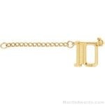 3/8″ Number 10 Year Guard with Chain 1