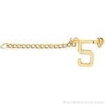 1/2″ Number 5 Year Guard with Chain 1