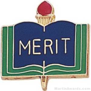 3/4" Merit School Award Pins